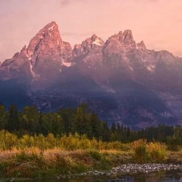 Meet your Posher, John - Picture 1 of 1